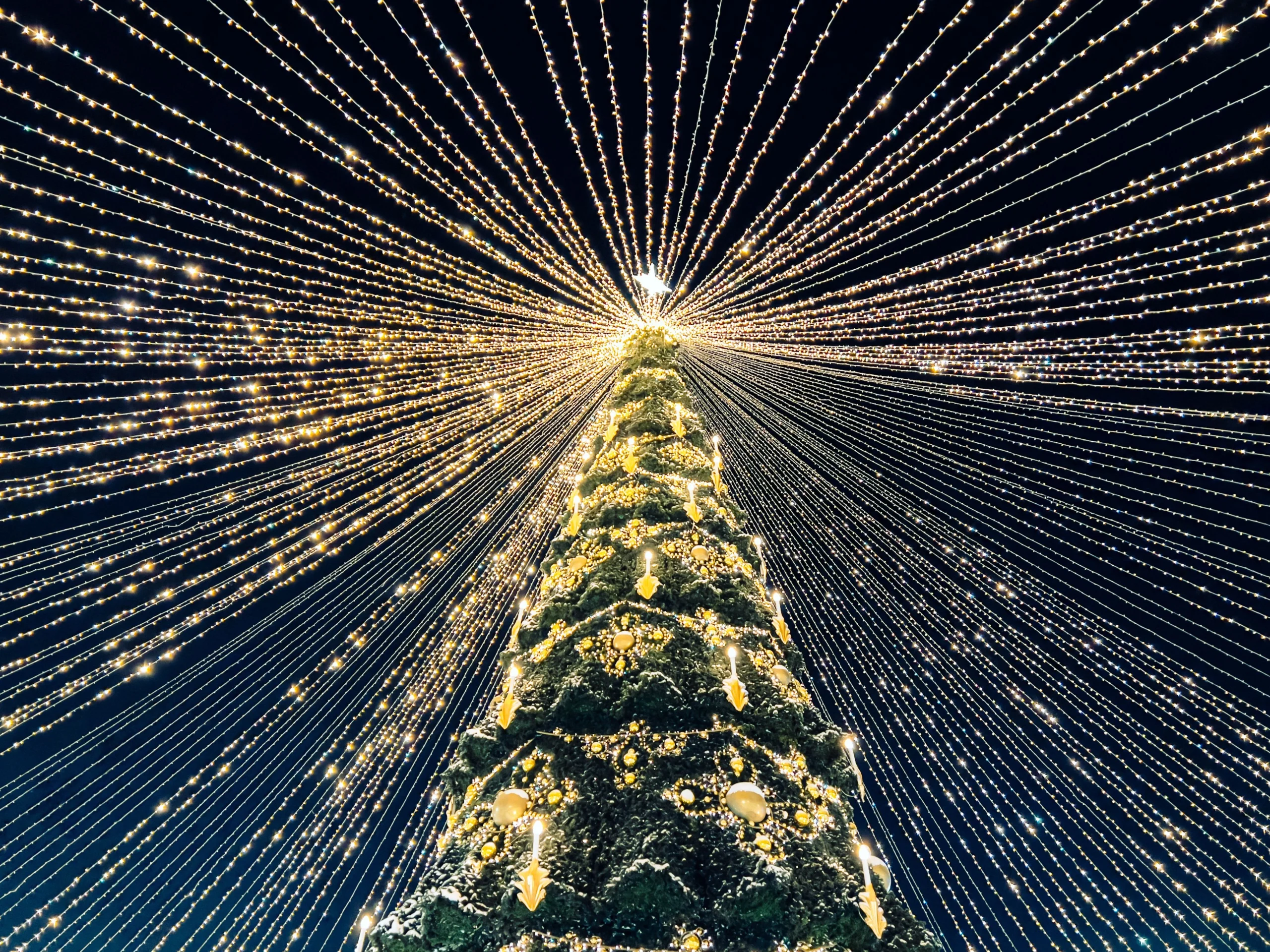 6x Inspirerende Kerstverlichting Buiten Ideeën voor een Magische en Sfeervolle Kerst